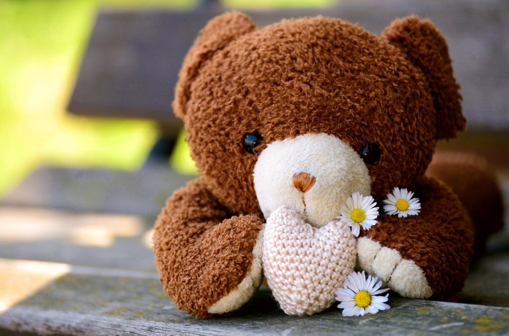 teddy